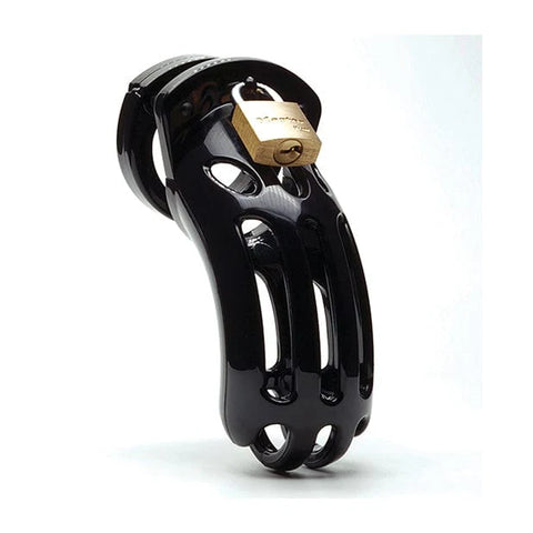 CBX - The Curve 3 3/4" Curved Cock Cage and Lock Chastity Set
